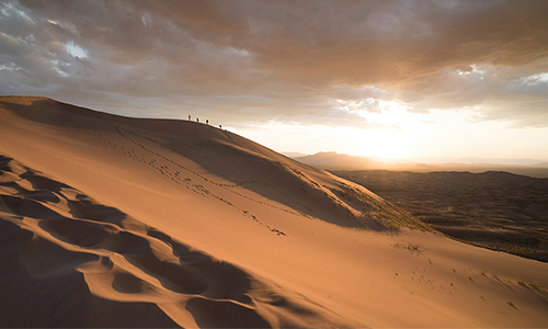 벤처기업 인증<br>
RCI001 특허기술 이전<br>