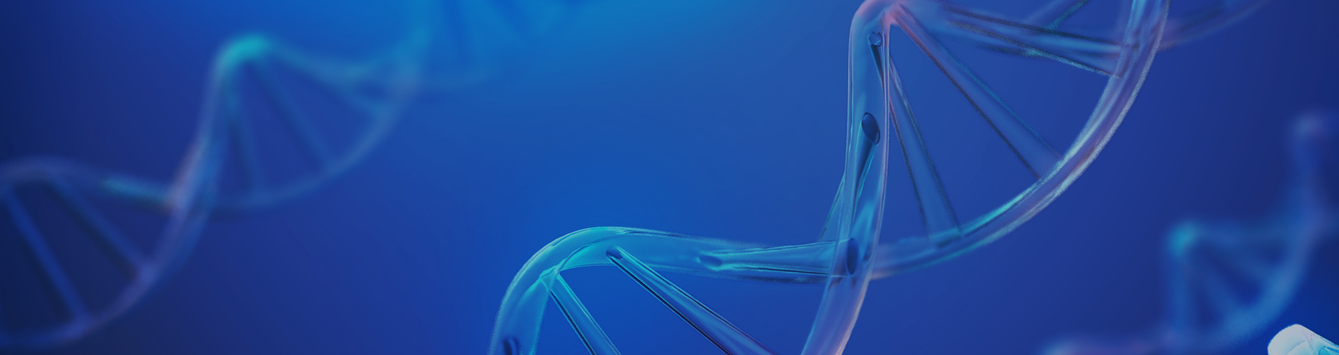 상단배너_이미지_PC