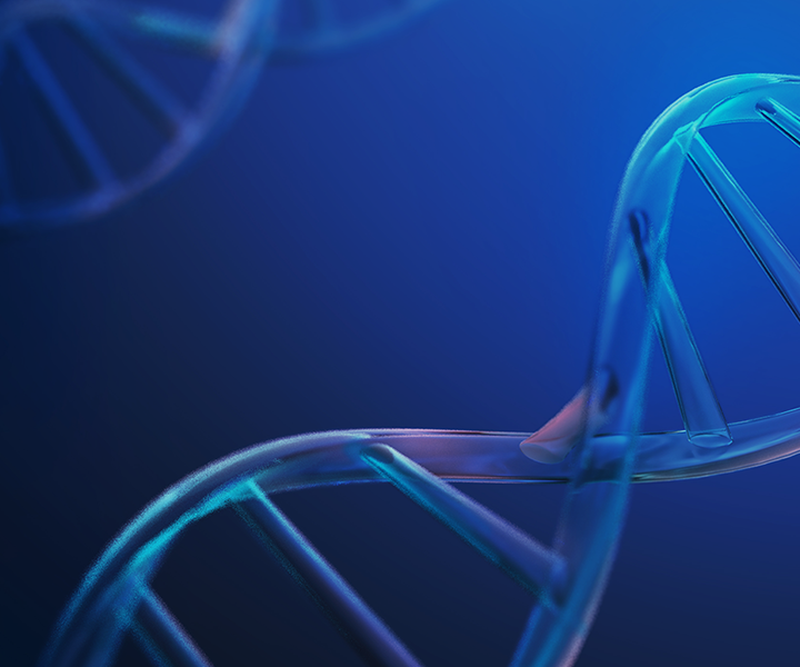 상단배너_이미지_Mobile